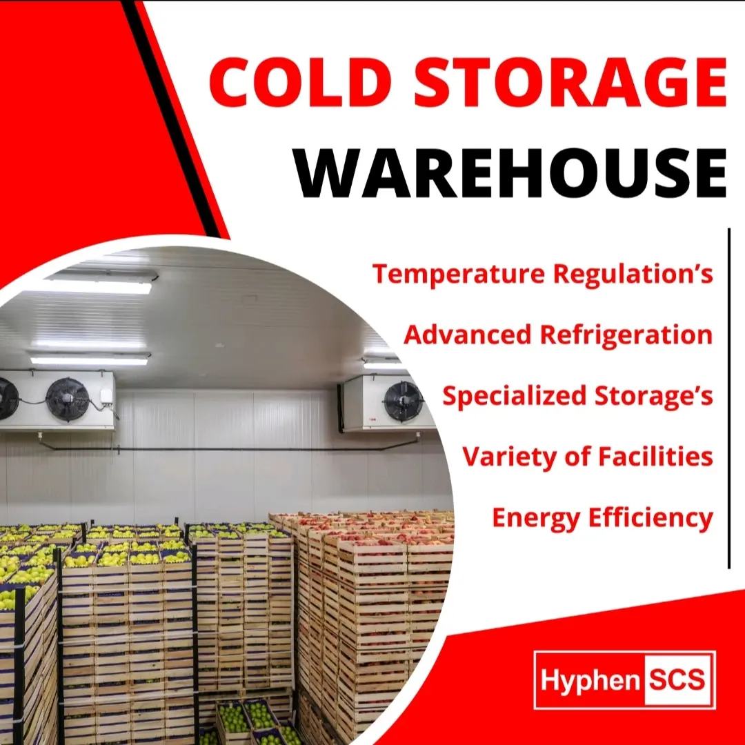 Optimizing the Supply Chain: The Essential Role of Cold Storage Facilities