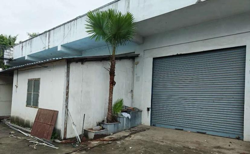 WhatsApp Image 2025-10-15 at 2.32.54 PM (1).jpeg