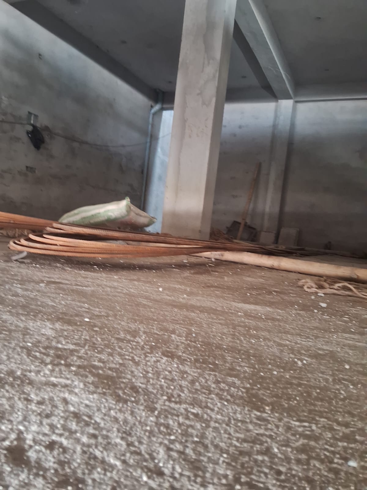 WhatsApp Image 2026-01-27 at 1.52.50 PM.jpeg