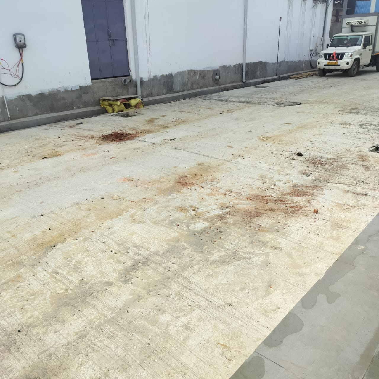 WhatsApp Image 2026-02-09 at 2.28.43 PM (1).jpeg