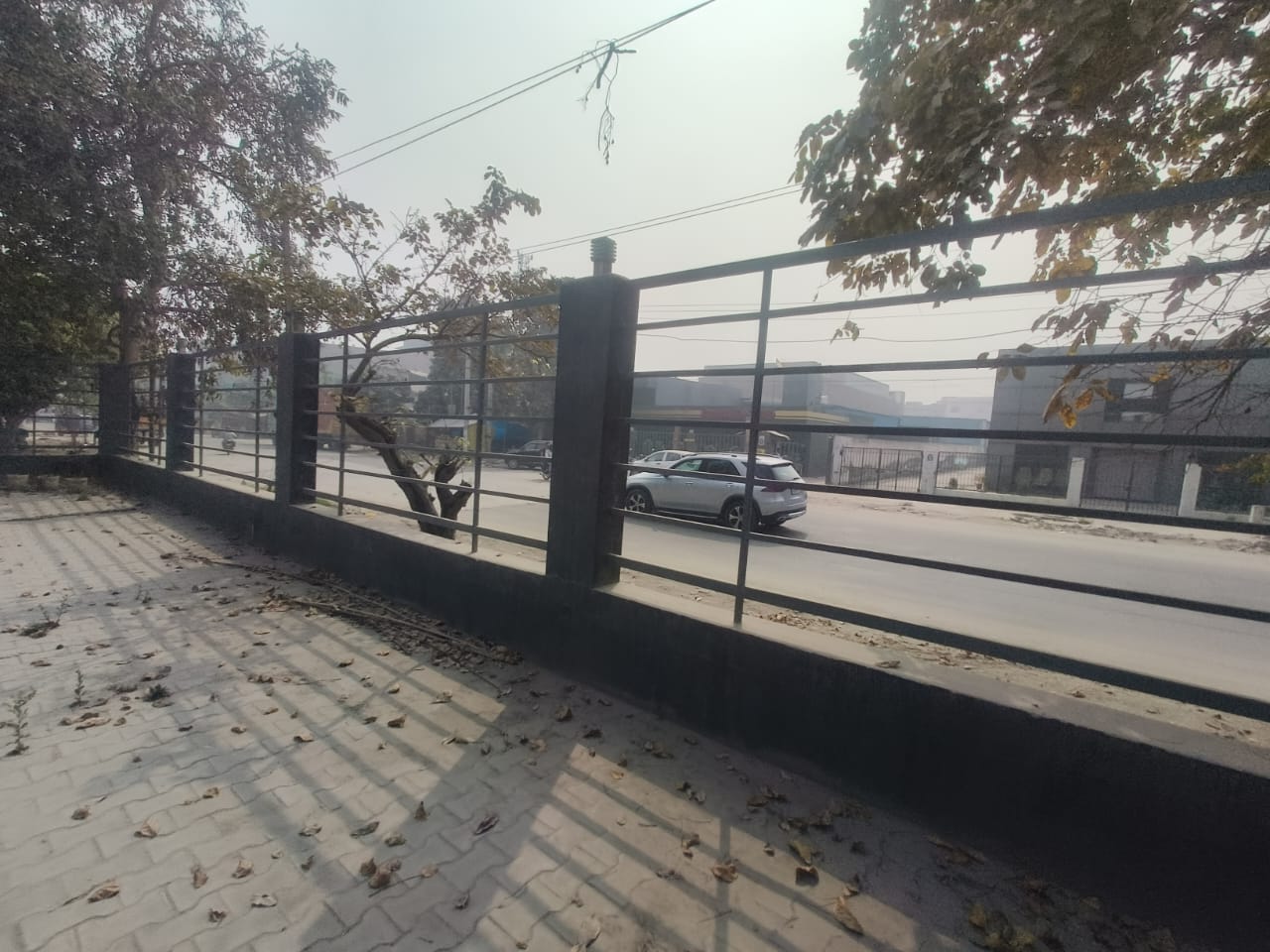 WhatsApp Image 2026-03-10 at 3.00.50 PM (1).jpeg