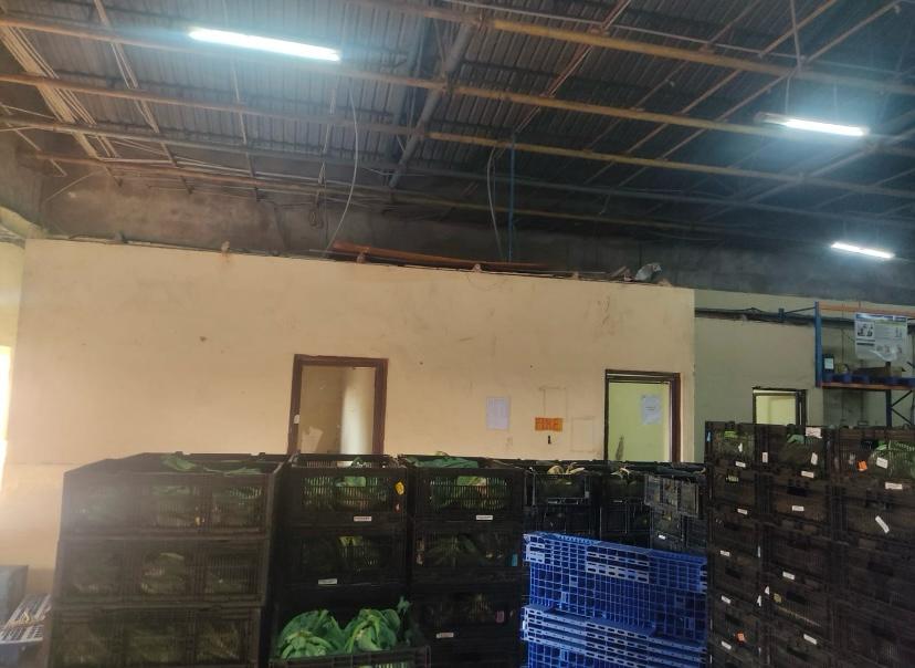 HyphenSCS-Warehouse-73796-0.png