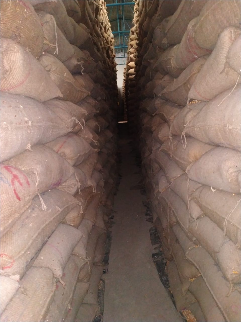 HyphenSCS-Warehouse-74430-1.png