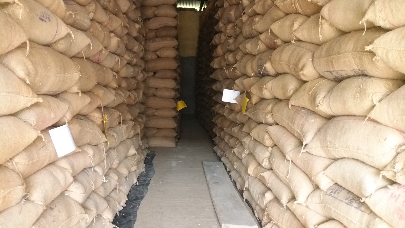 HyphenSCS-Warehouse-74431-3.png