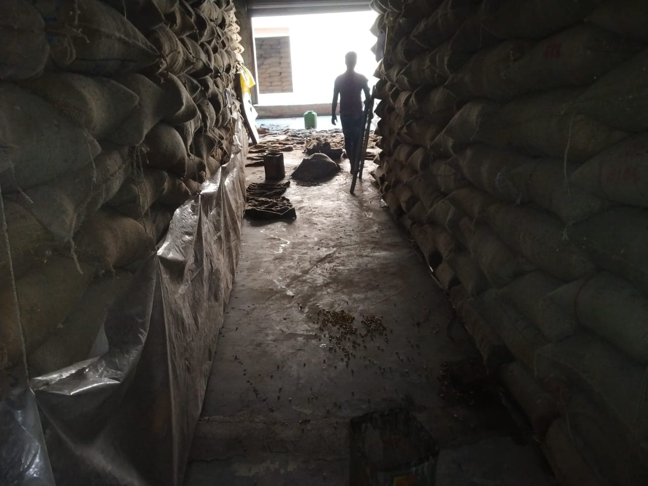 HyphenSCS-Warehouse-74433-3.png
