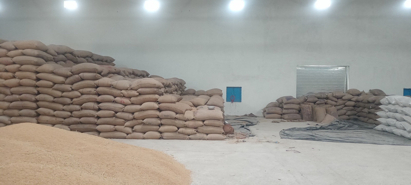 HyphenSCS-Warehouse-74525-0.png