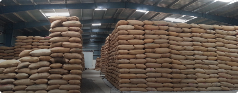HyphenSCS-Warehouse-74612-0.png