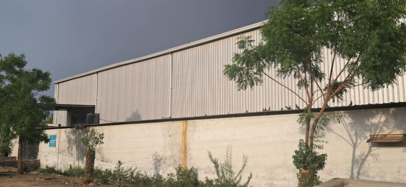 WhatsApp Image 2025-11-17 at 4.01.26 PM (1).jpeg