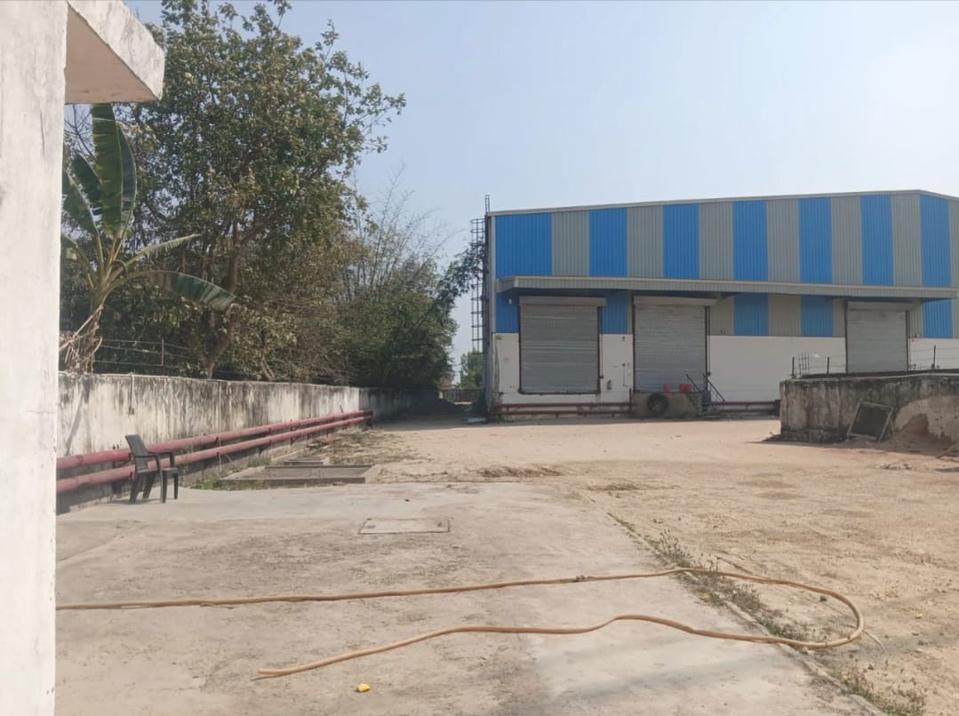 WhatsApp Image 2026-03-11 at 2.31.54 PM.jpeg