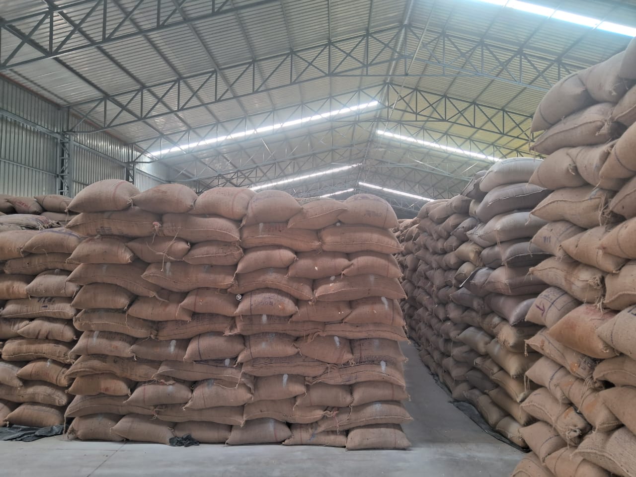 WhatsApp Image 2025-11-20 at 1.25.24 PM.jpeg