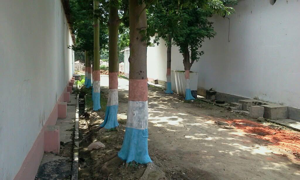 WhatsApp Image 2025-12-11 at 1.09.51 PM.jpeg