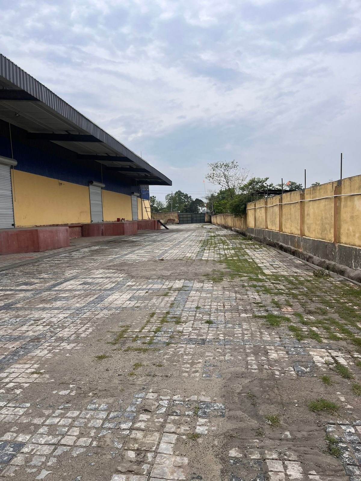 WhatsApp Image 2026-02-05 at 1.51.12 PM.jpeg