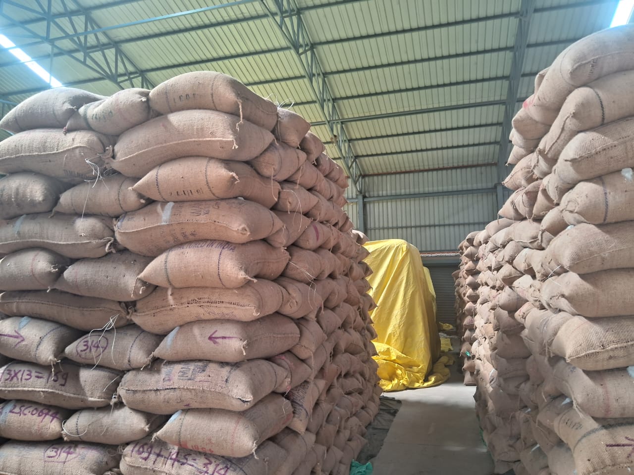 WhatsApp Image 2025-11-20 at 1.25.38 PM.jpeg