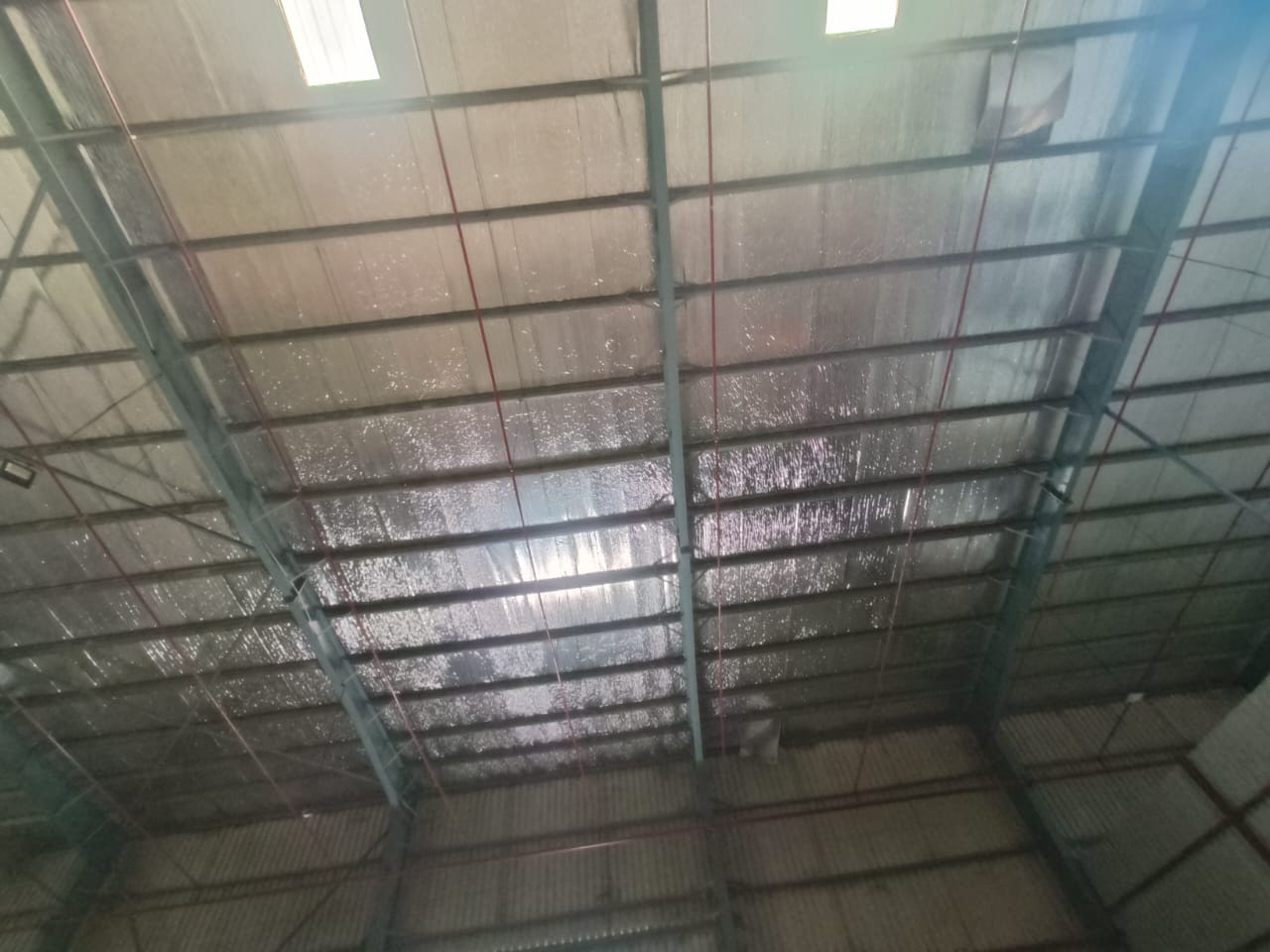 WhatsApp Image 2026-02-19 at 4.37.32 PM (2).jpeg