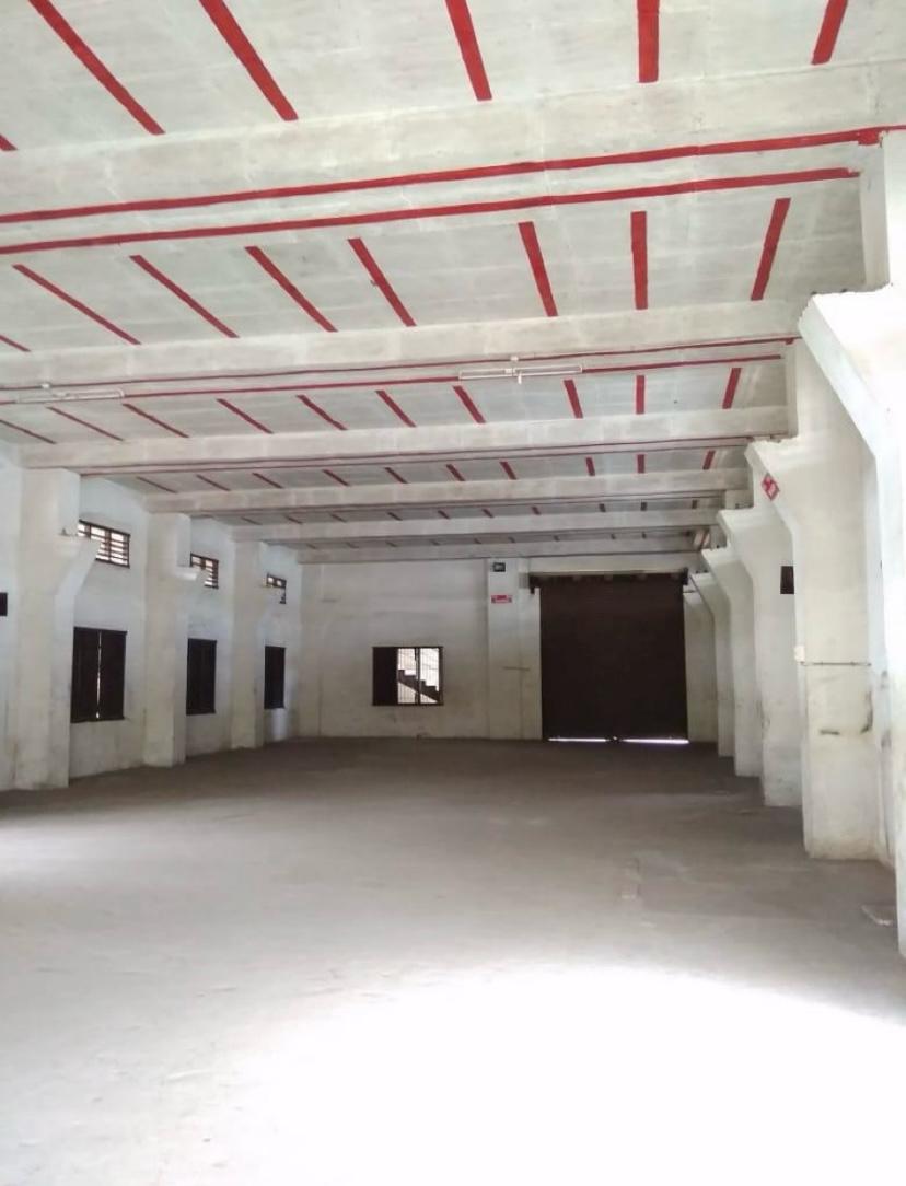 WhatsApp Image 2025-10-06 at 1.15.23 PM.jpeg