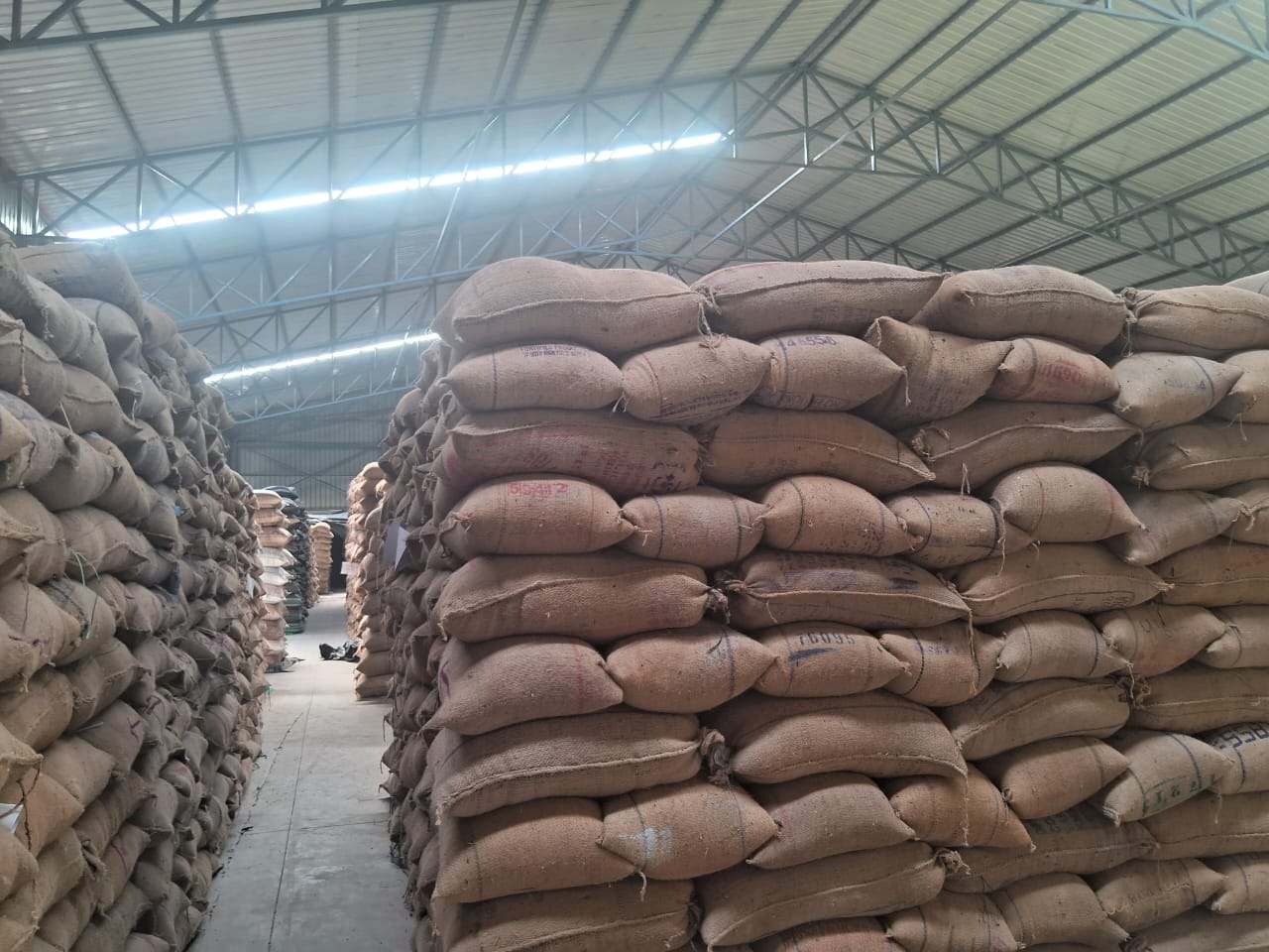 WhatsApp Image 2025-11-20 at 1.25.34 PM.jpeg