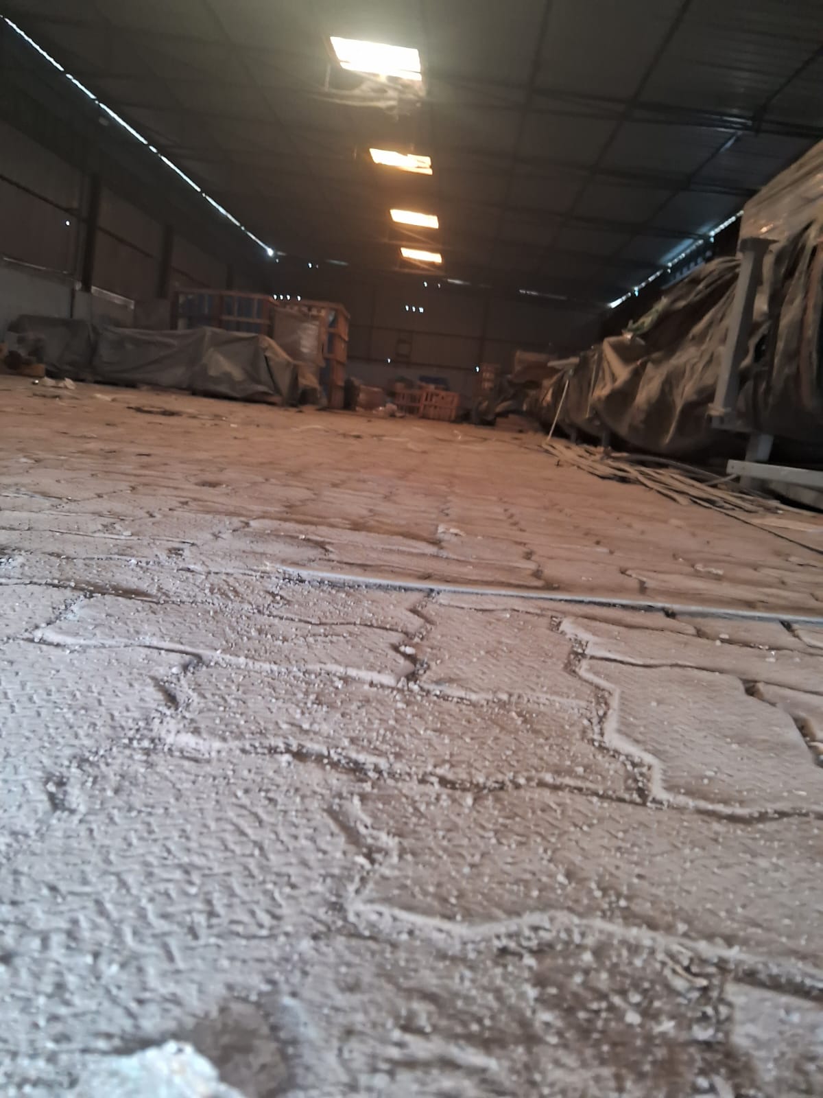 WhatsApp Image 2026-01-29 at 2.14.21 PM.jpeg